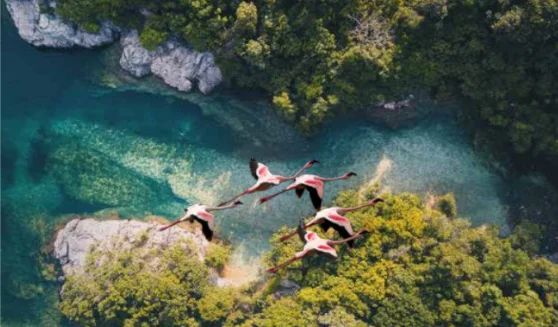 lifetime sea view lifetime sea view