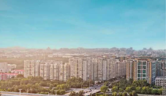 rare offering rare offering