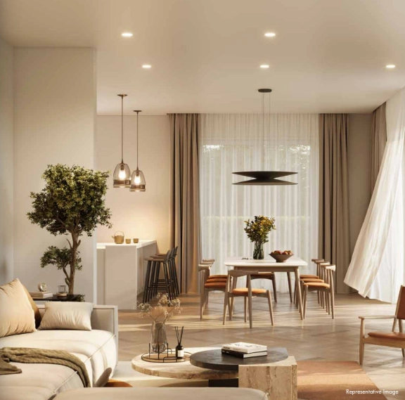 dining area dining area