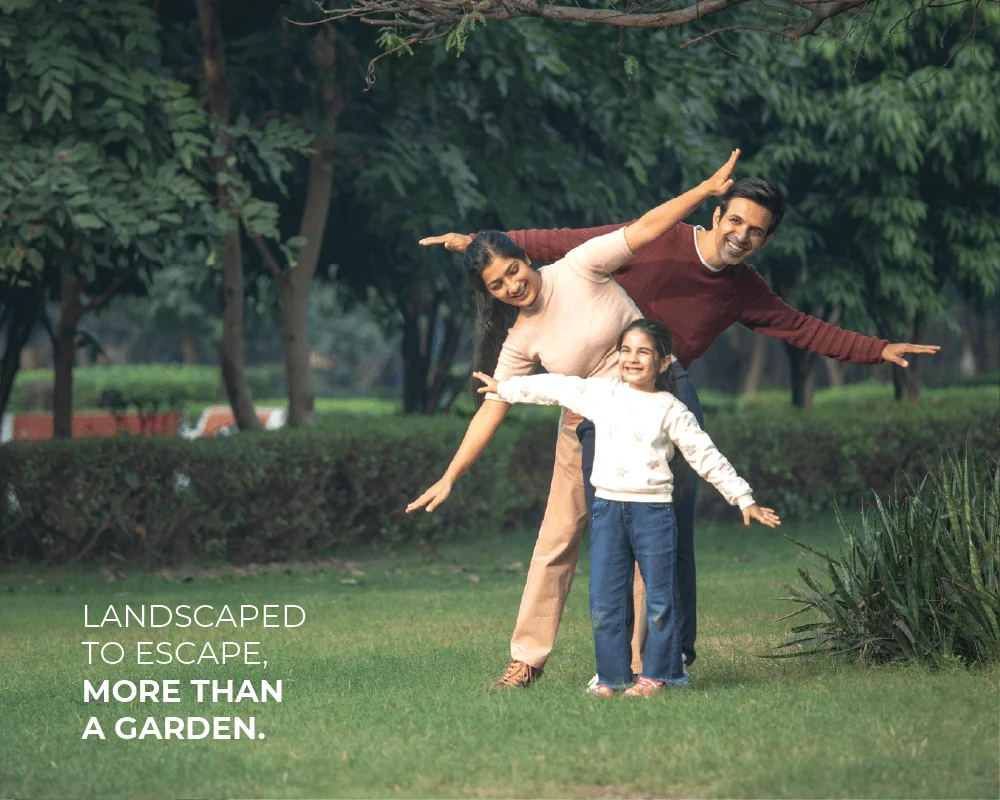 landscape garden landscape garden