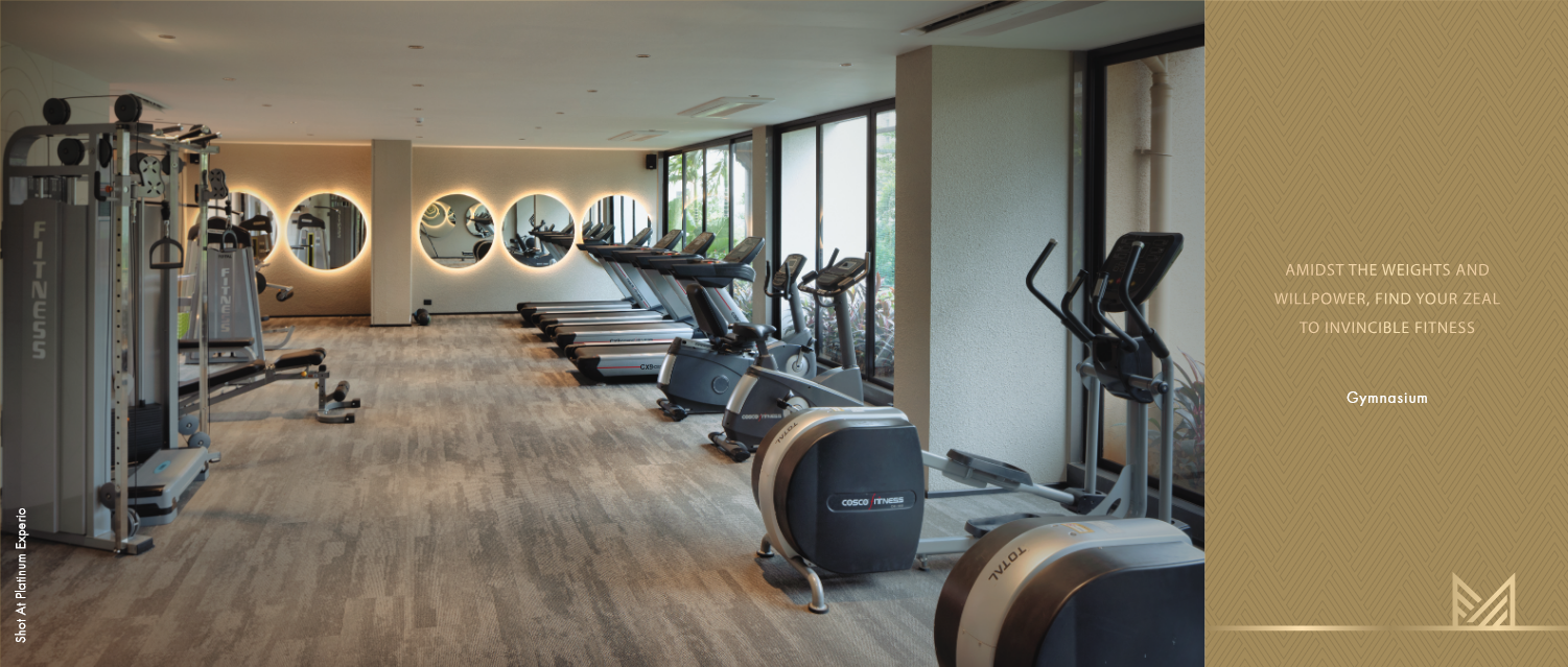 mansionz gymnasium mansionz gymnasium